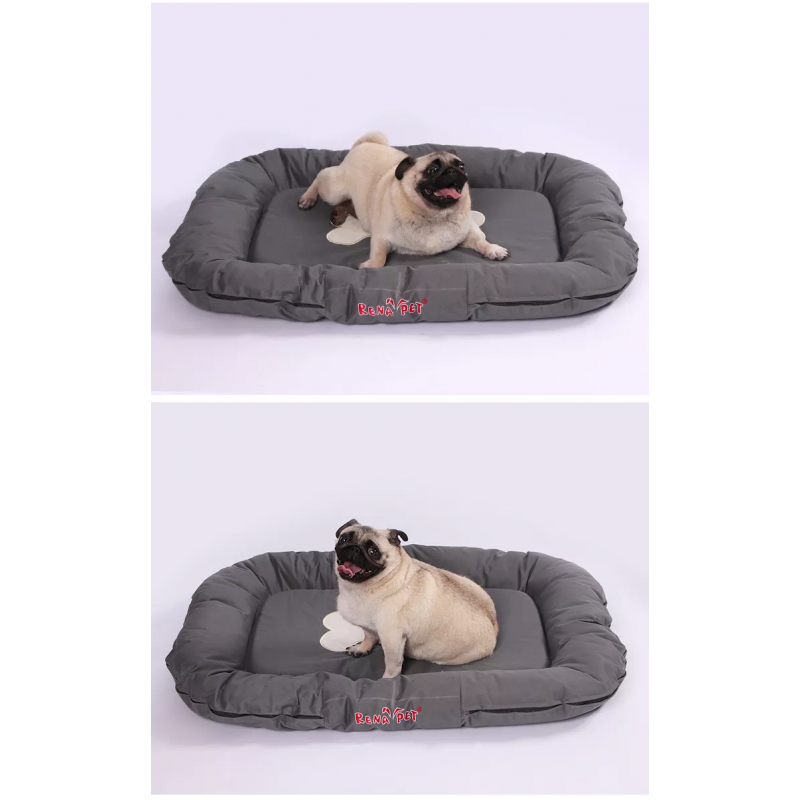 CUSCINO REVENANT BORDERG