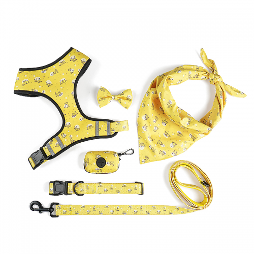 Pet Supplies New Design custom dog harness set padded soft small dog harness leash and collar set
